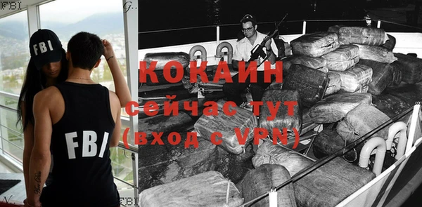 амф Дубна