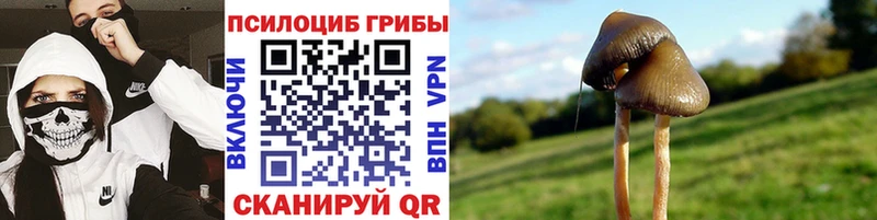 что такое   Калач  Псилоцибиновые грибы ЛСД 