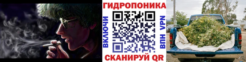 Бошки марихуана Amnesia  дарк нет Telegram  гидра как войти  Калач  купить  